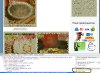 Screen1.jpg